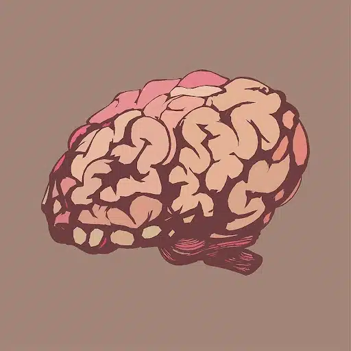 Brain Training