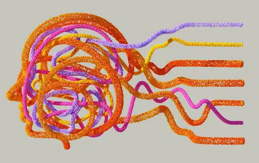 brain mapping